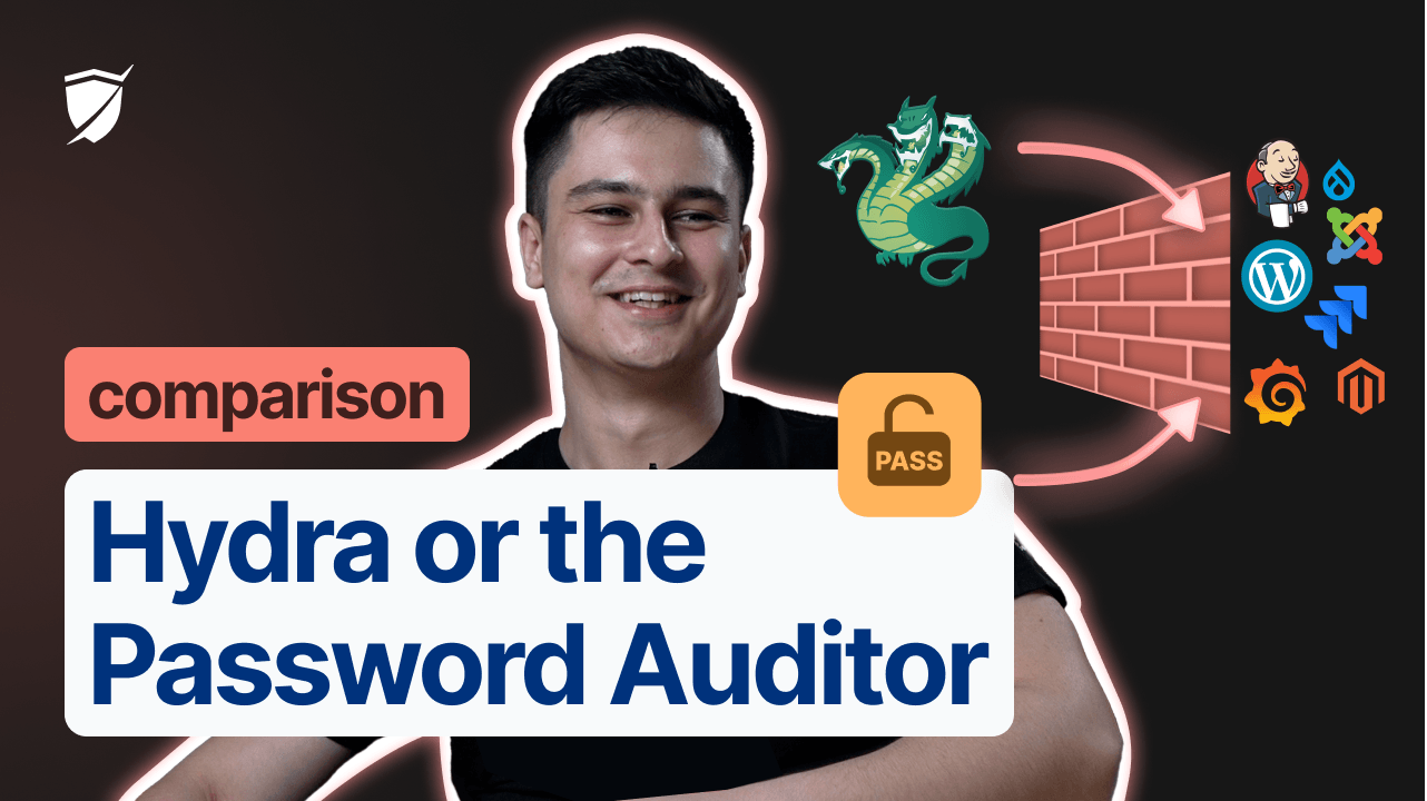 The best password cracking tool: Hydra vs. the Password Auditor